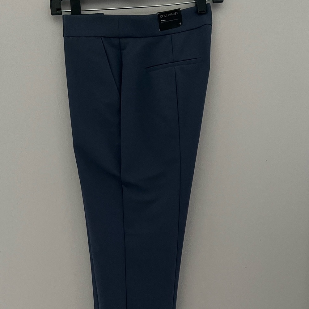 Express Columnist ankle pants